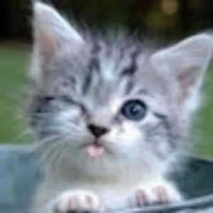 Meet your Posher, Katja